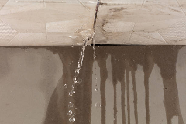 Professional Structural Drying technician working in Castalian Springs, TN